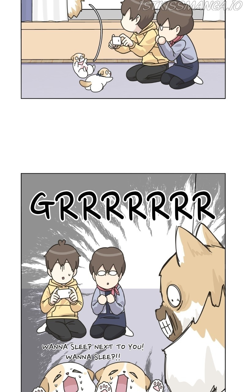 The Dog Diaries Chapter 75 - page 70
