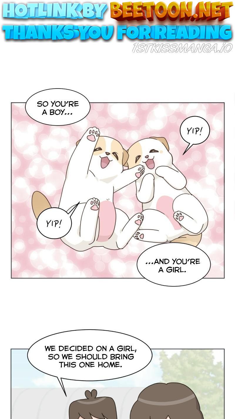 The Dog Diaries Chapter 73 - page 1