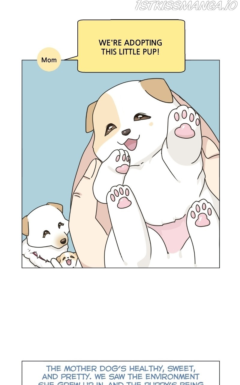 The Dog Diaries Chapter 73 - page 14