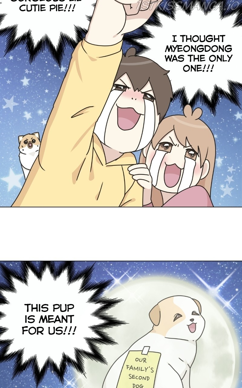 The Dog Diaries Chapter 73 - page 17