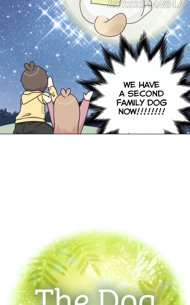 The Dog Diaries Chapter 73 - page 18