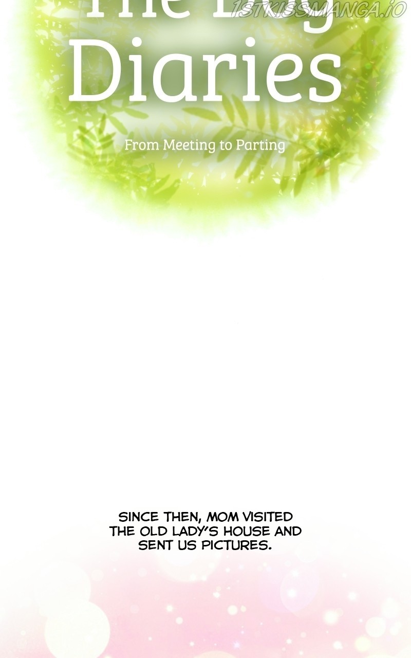 The Dog Diaries Chapter 73 - page 19