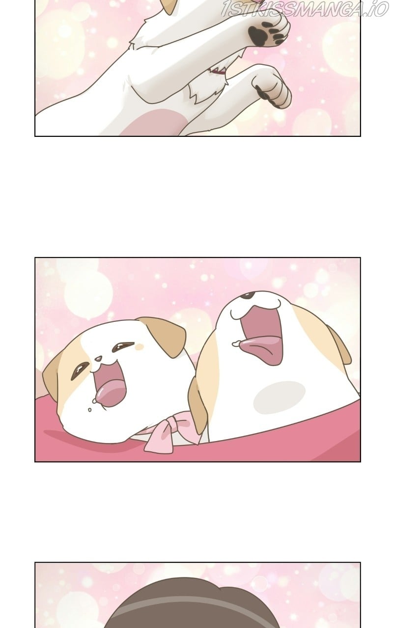 The Dog Diaries Chapter 73 - page 39