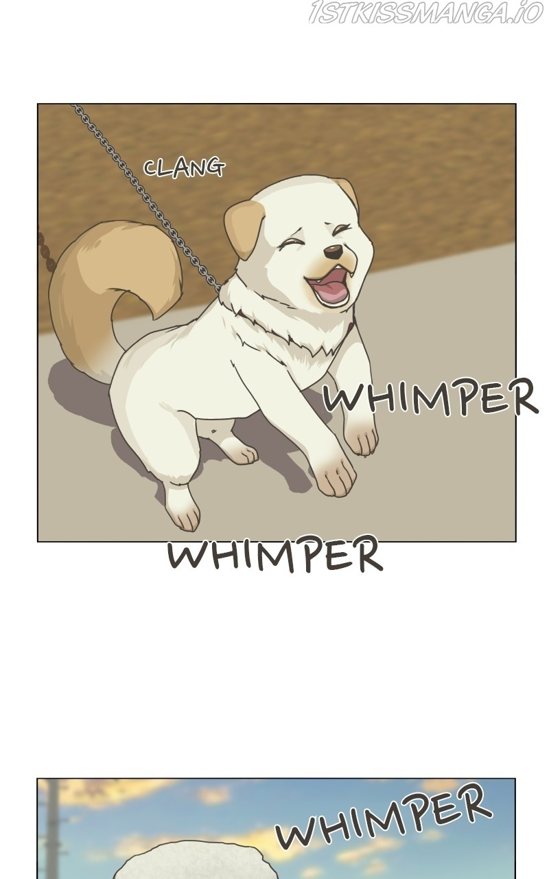 The Dog Diaries Chapter 73 - page 57