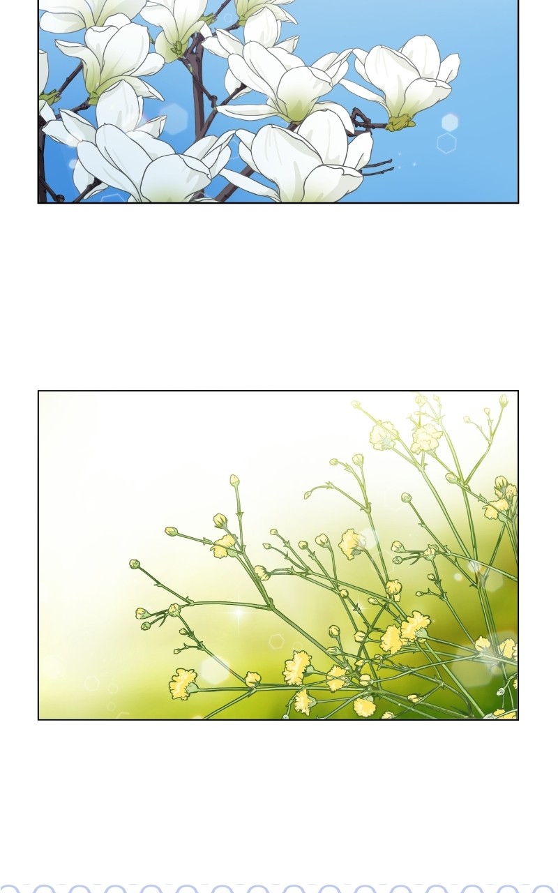 The Dog Diaries Chapter 72 - page 21