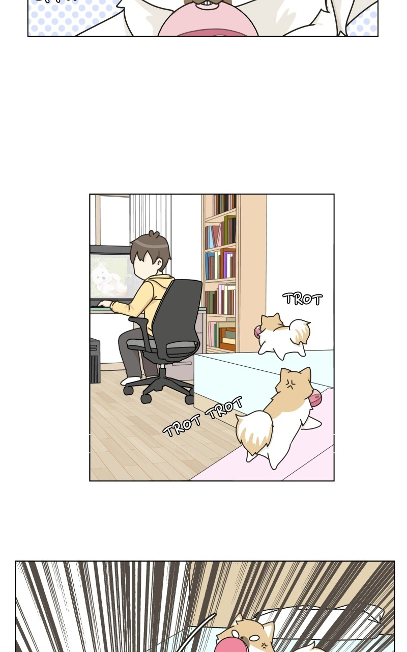 The Dog Diaries Chapter 72 - page 30