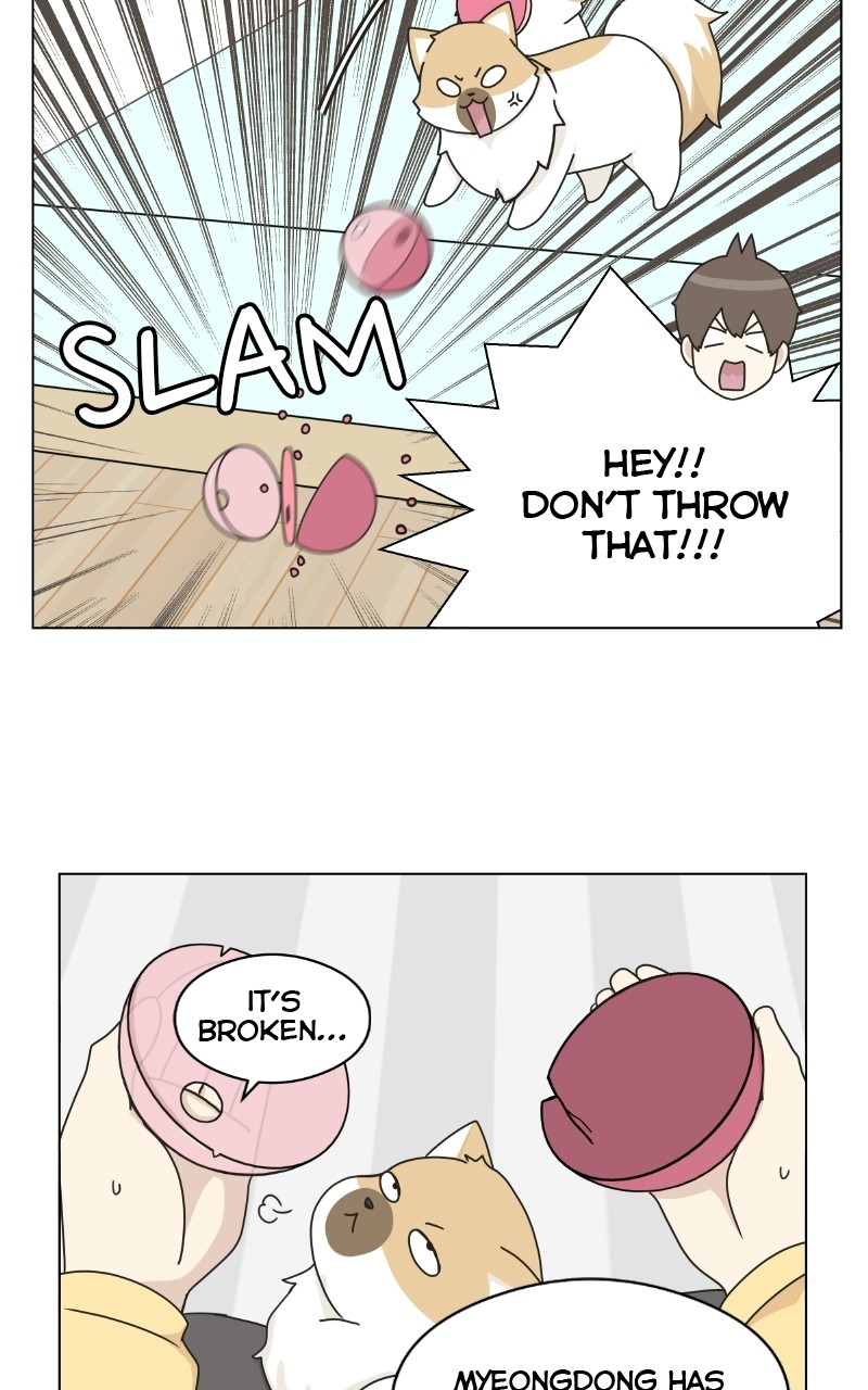The Dog Diaries Chapter 72 - page 31