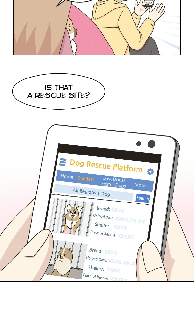 The Dog Diaries Chapter 72 - page 36