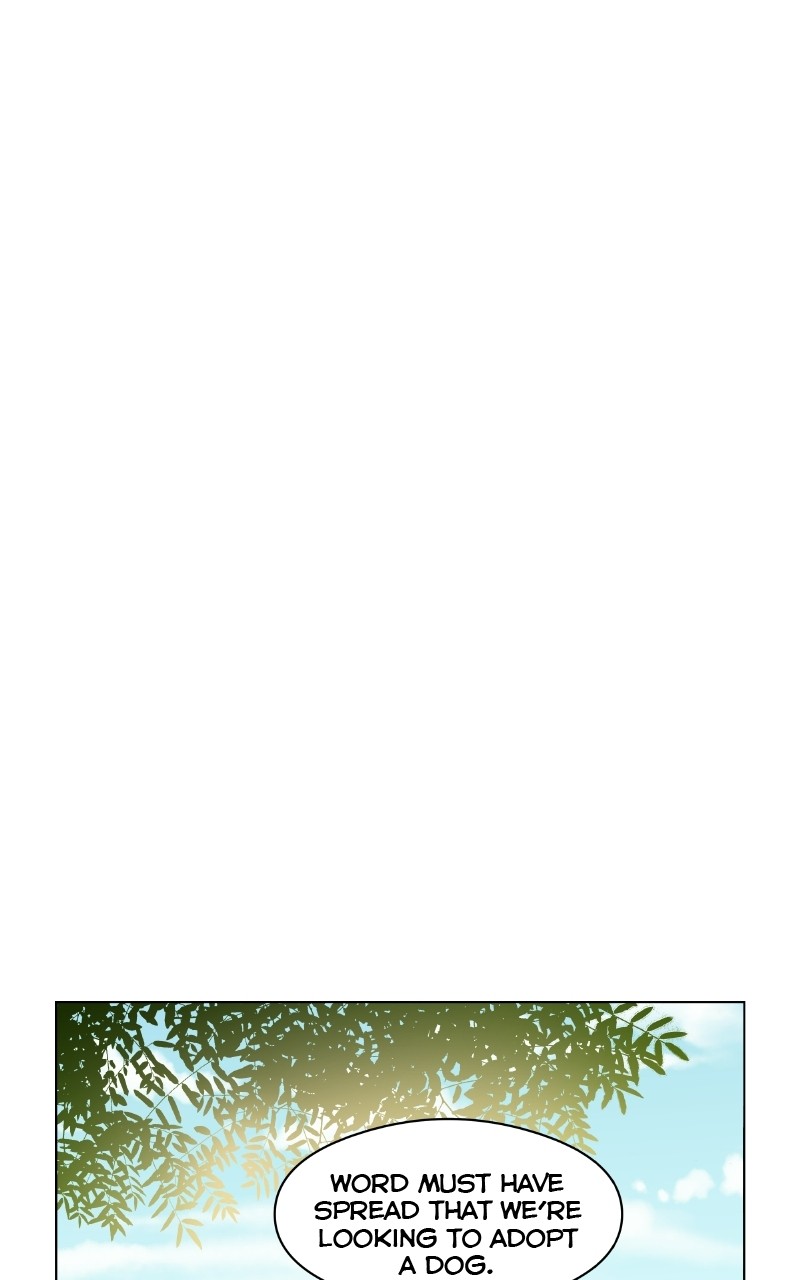 The Dog Diaries Chapter 72 - page 51