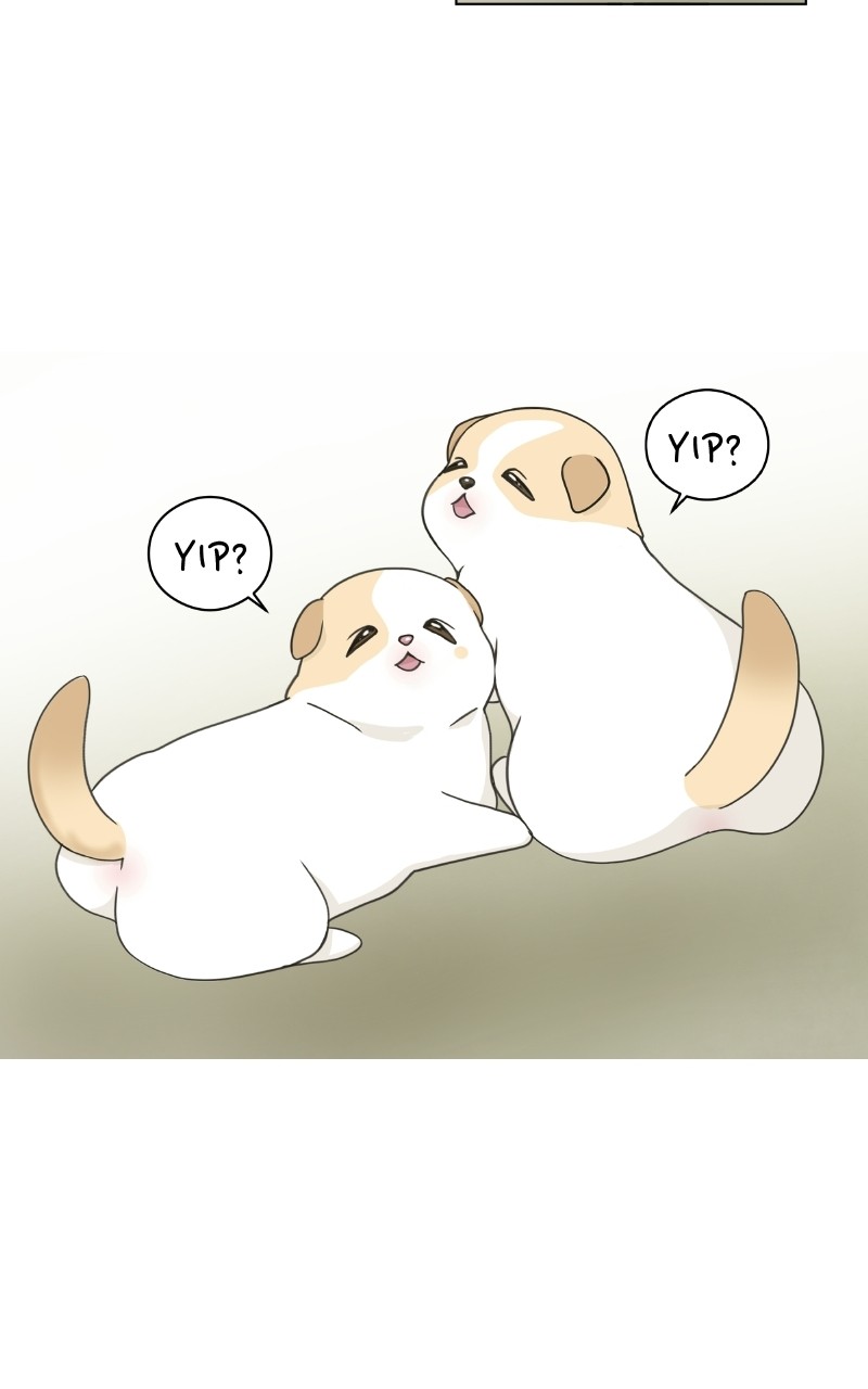 The Dog Diaries Chapter 72 - page 57