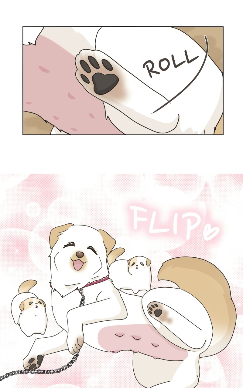 The Dog Diaries Chapter 72 - page 60