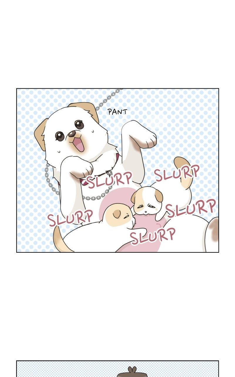 The Dog Diaries Chapter 72 - page 62
