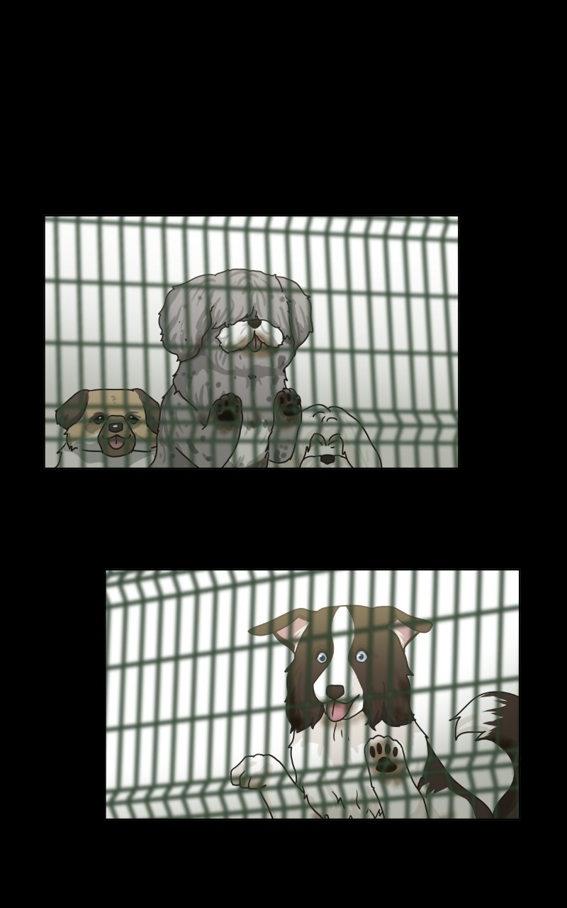 The Dog Diaries Chapter 71 - page 46