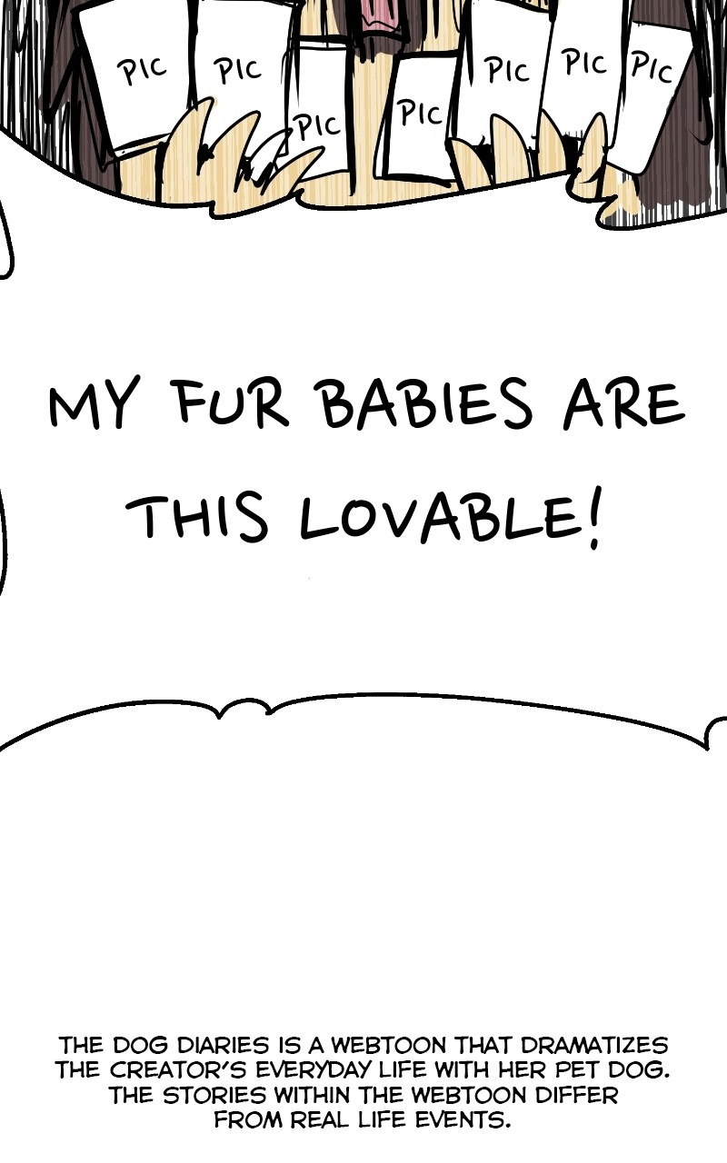 The Dog Diaries Chapter 70 - page 12