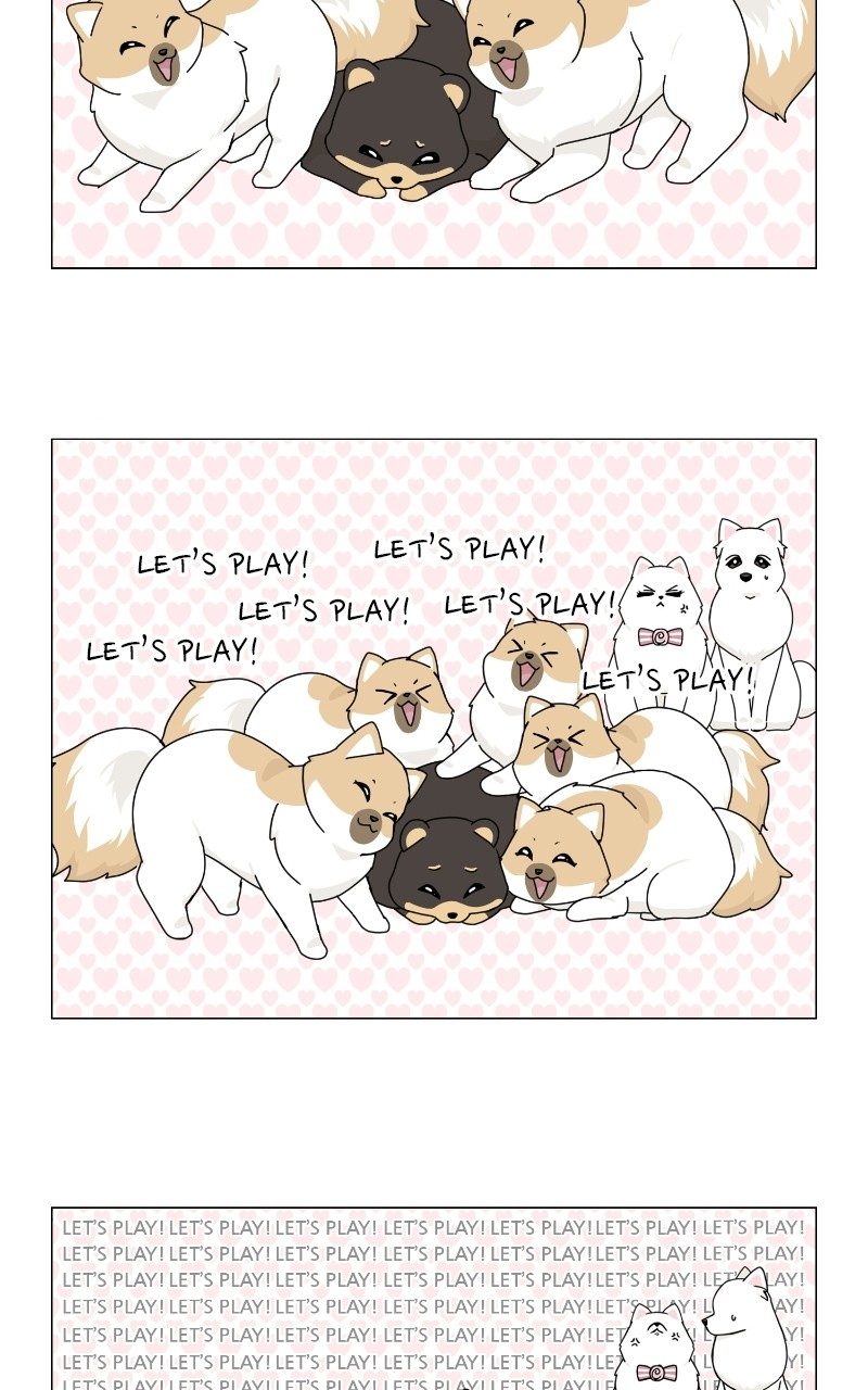 The Dog Diaries Chapter 69 - page 38