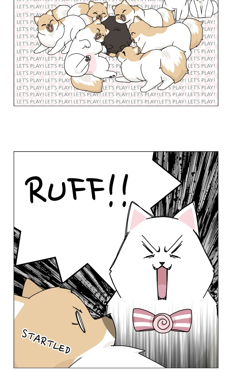 The Dog Diaries Chapter 69 - page 39