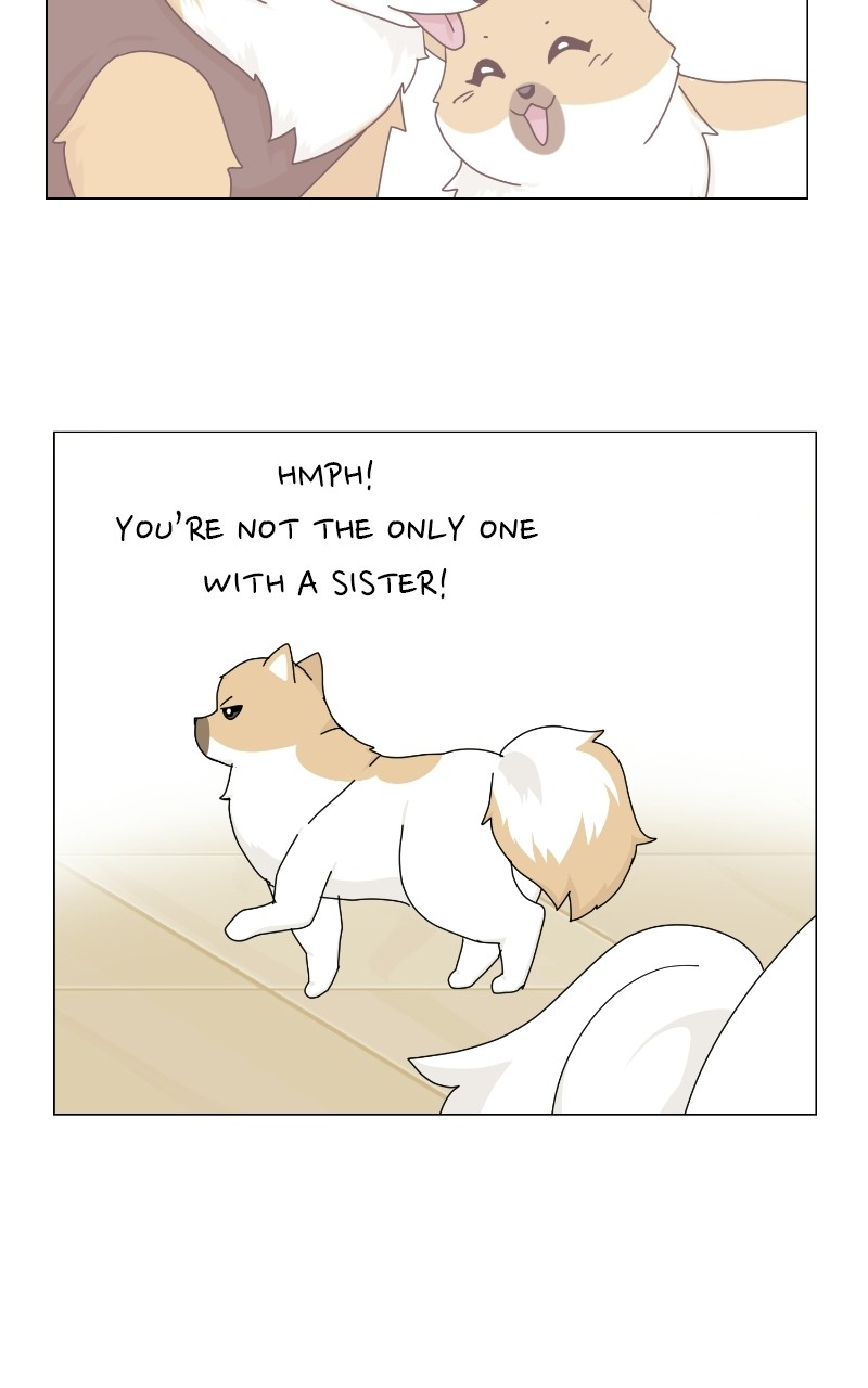 The Dog Diaries Chapter 69 - page 45