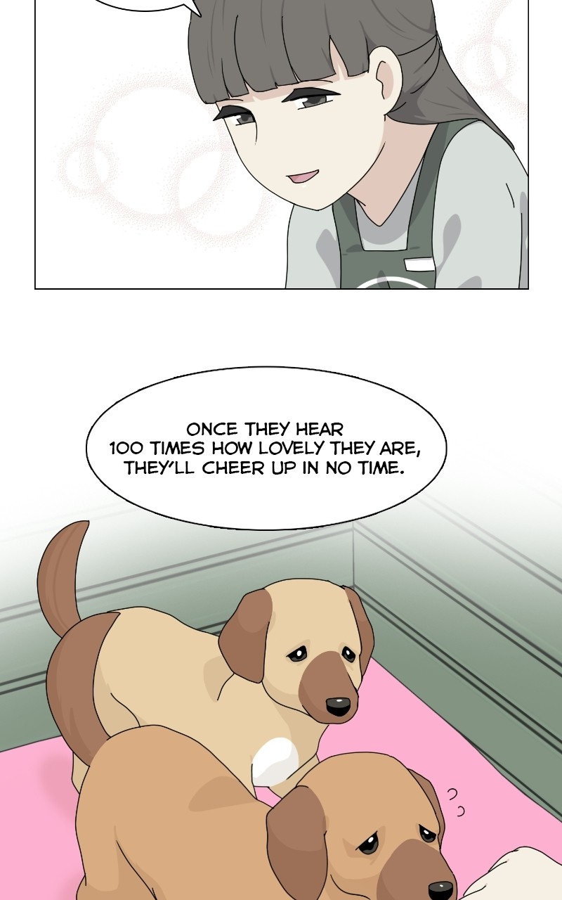 The Dog Diaries Chapter 69 - page 50