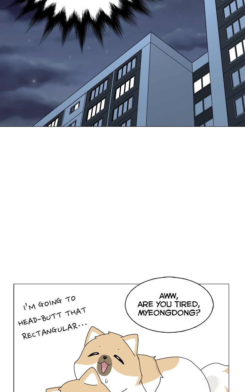 The Dog Diaries Chapter 69 - page 66
