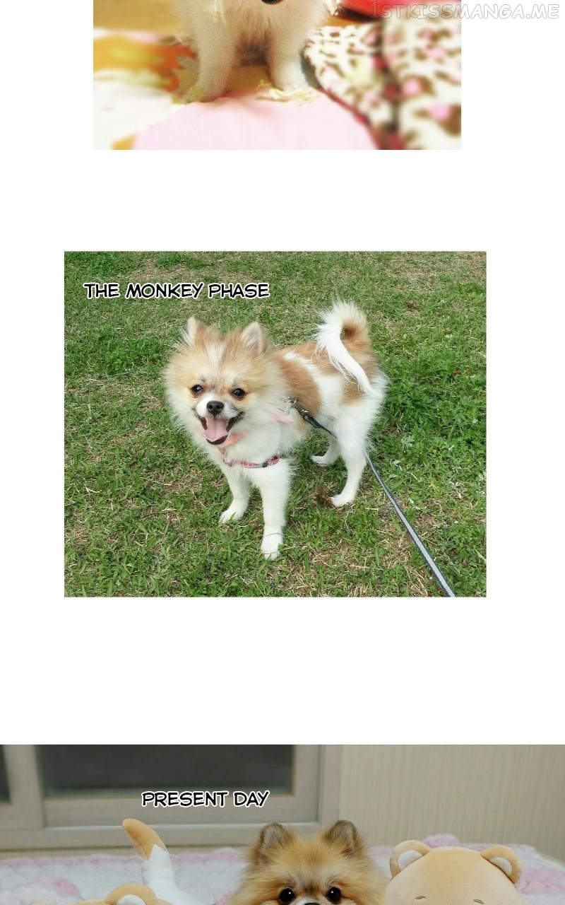 The Dog Diaries Chapter 68.5 - page 14