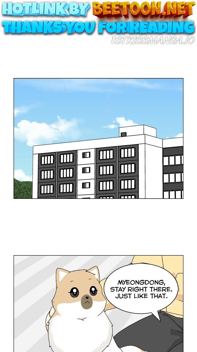 The Dog Diaries Chapter 68 - page 1