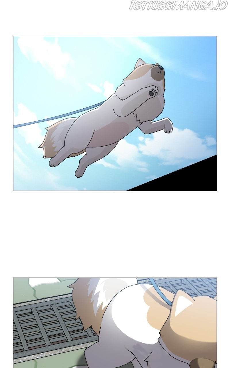 The Dog Diaries Chapter 68 - page 15