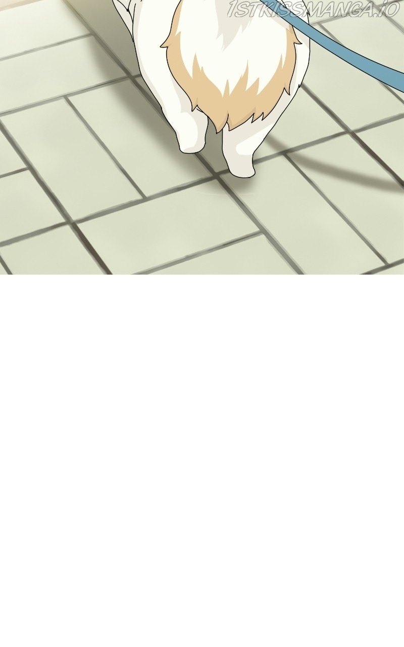 The Dog Diaries Chapter 68 - page 56