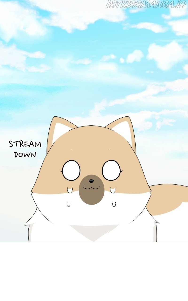 The Dog Diaries Chapter 68 - page 62