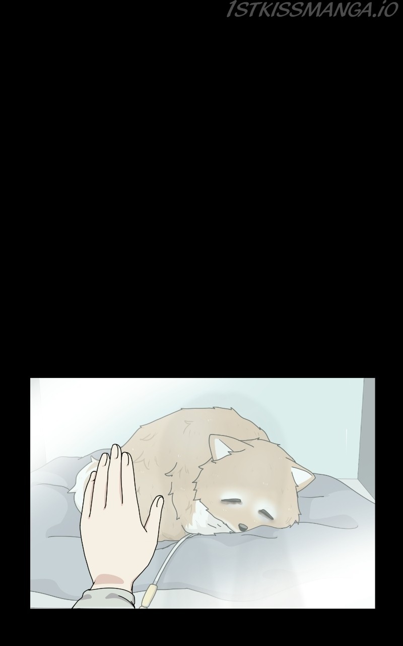 The Dog Diaries Chapter 64 - page 38