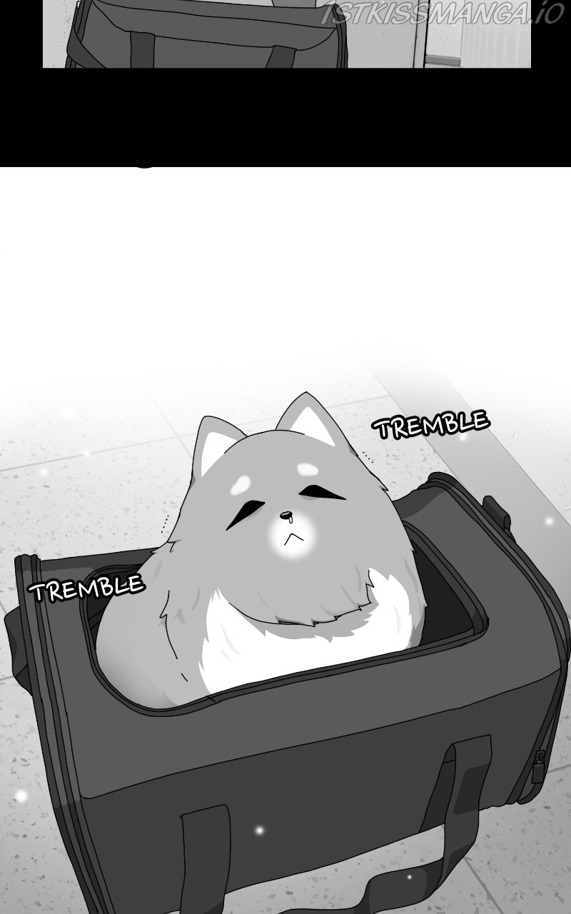 The Dog Diaries Chapter 64 - page 50