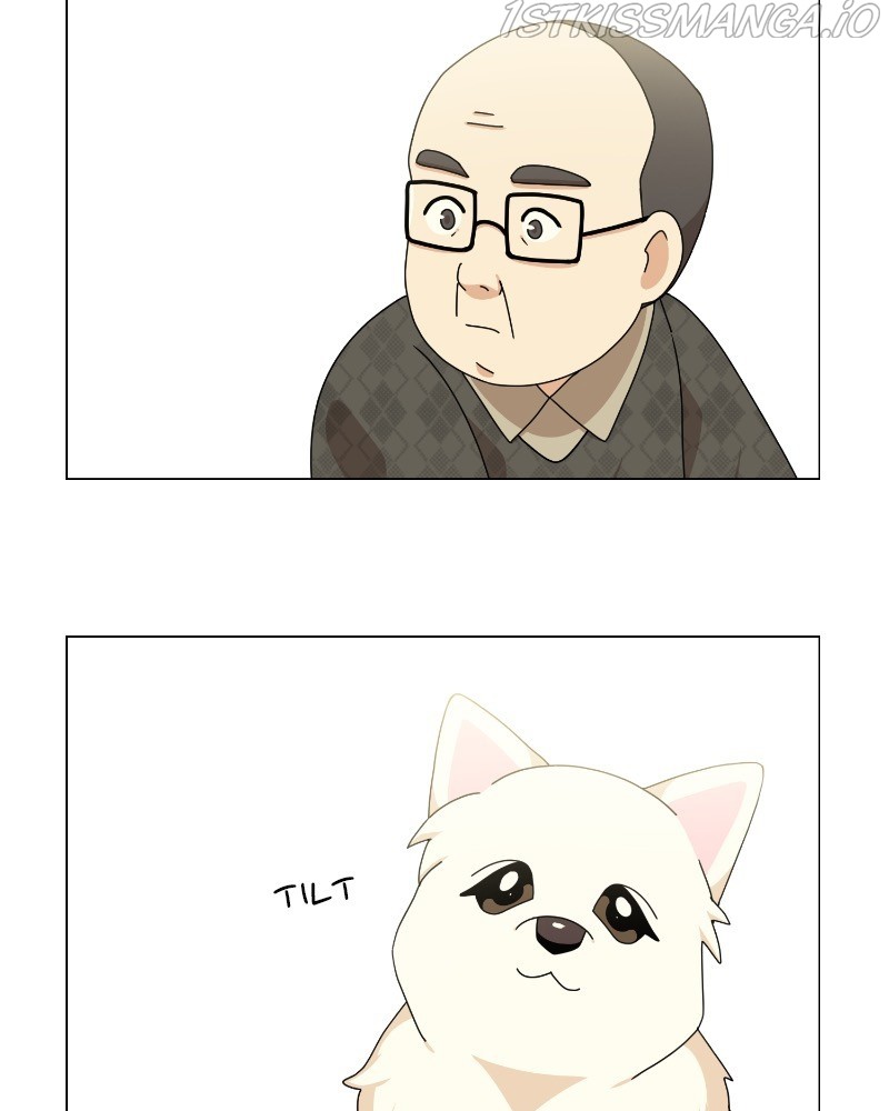The Dog Diaries Chapter 63 - page 31