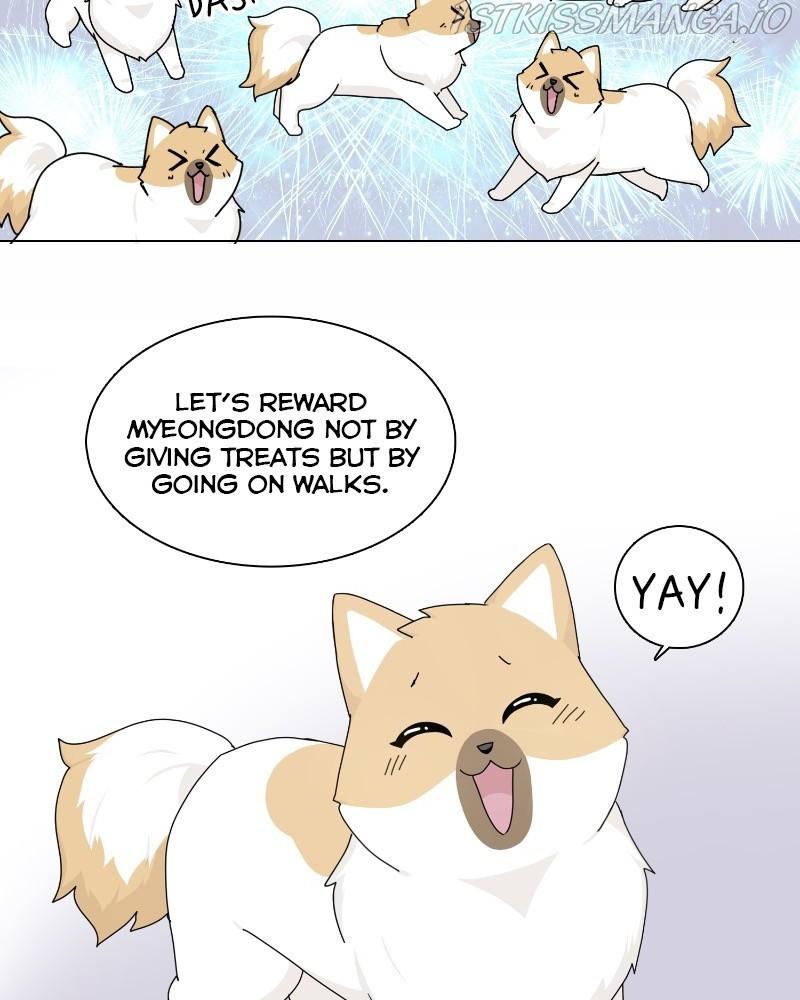 The Dog Diaries Chapter 63 - page 69