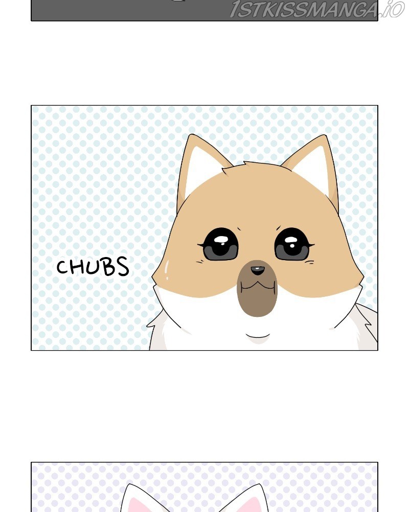 The Dog Diaries Chapter 63 - page 74