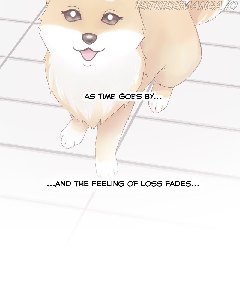 The Dog Diaries Chapter 63 - page 92