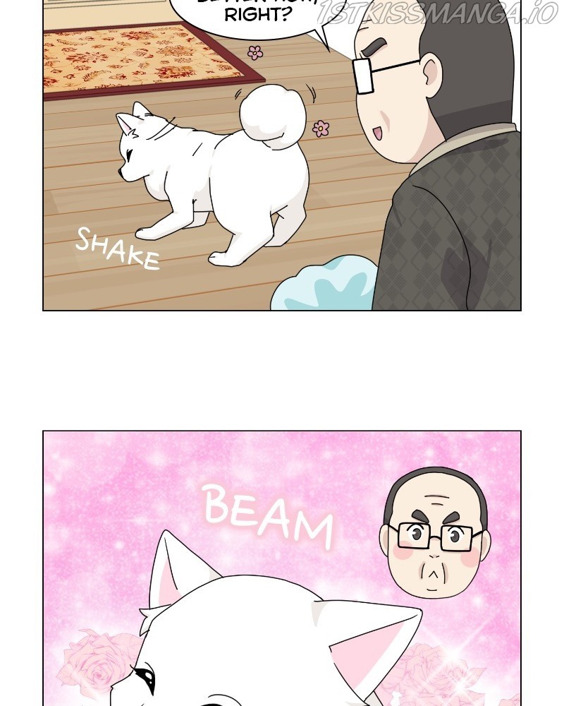 The Dog Diaries Chapter 62 - page 43