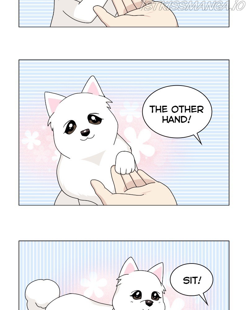 The Dog Diaries Chapter 62 - page 66