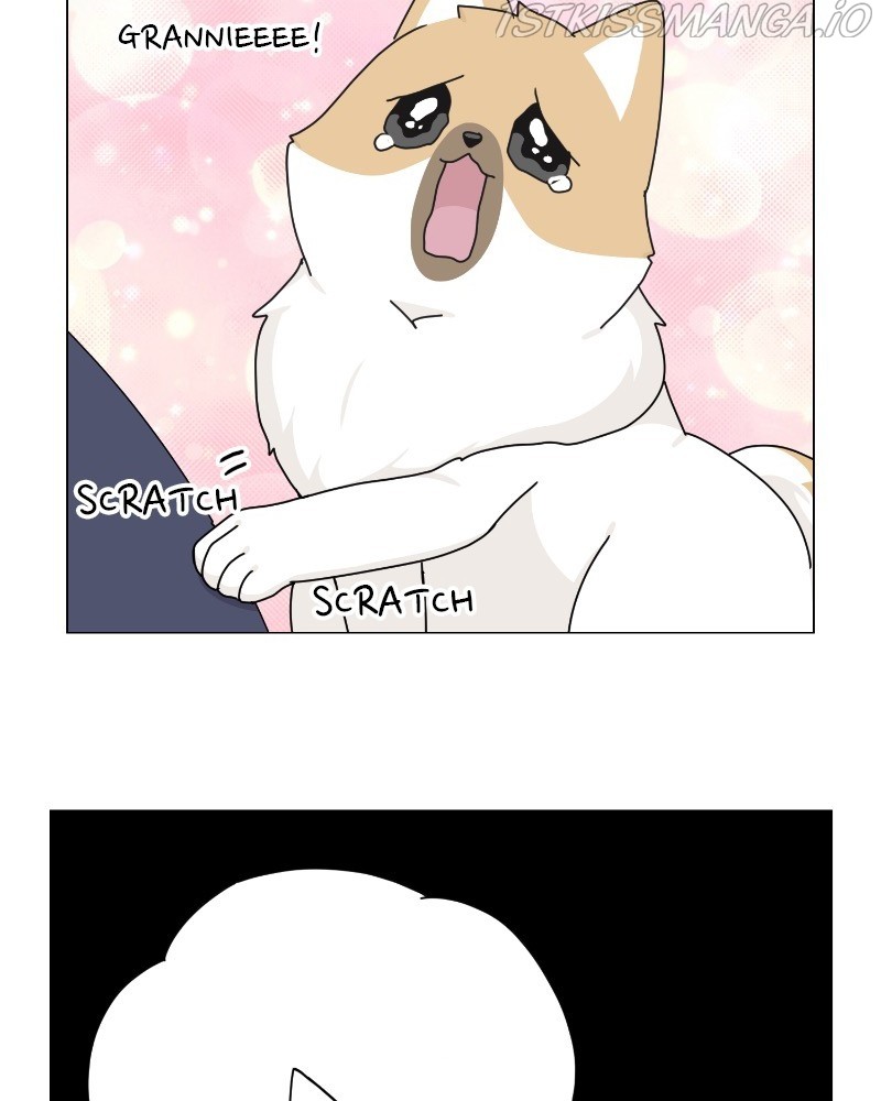 The Dog Diaries Chapter 62 - page 88