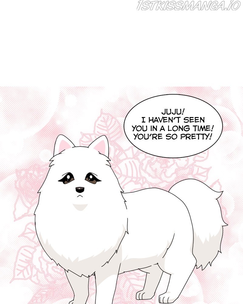 The Dog Diaries Chapter 57 - page 25