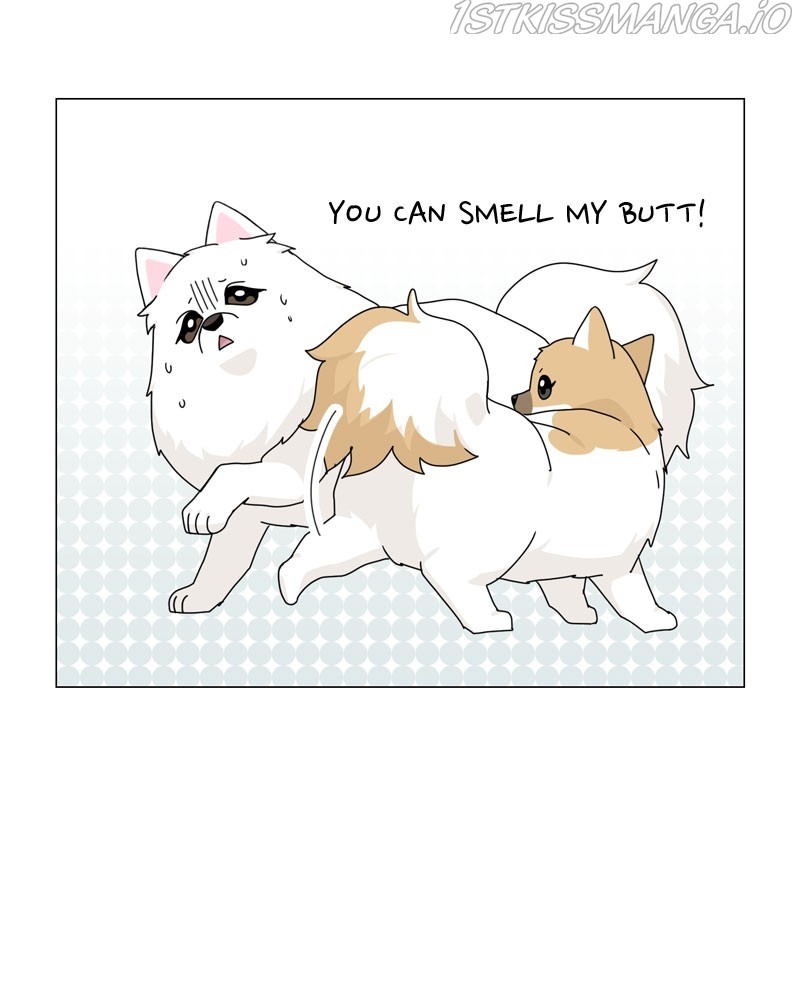 The Dog Diaries Chapter 57 - page 30