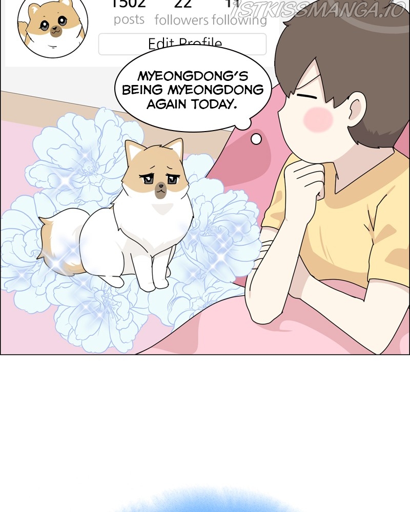The Dog Diaries Chapter 55 - page 12