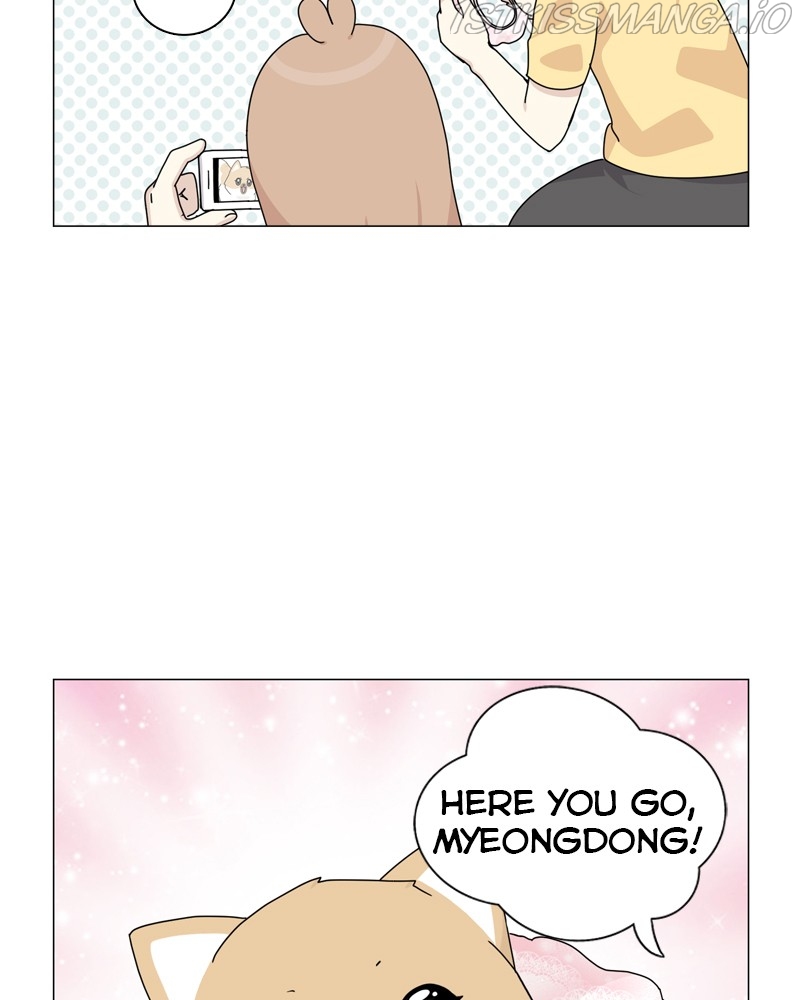 The Dog Diaries Chapter 55 - page 86