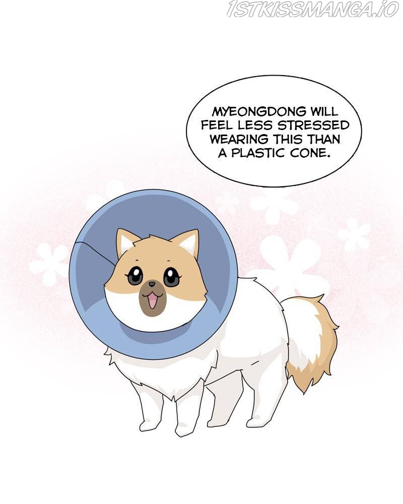 The Dog Diaries Chapter 50 - page 11