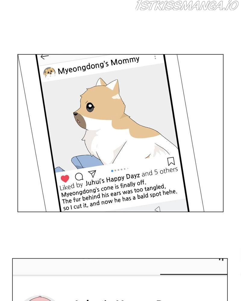 The Dog Diaries Chapter 50 - page 81