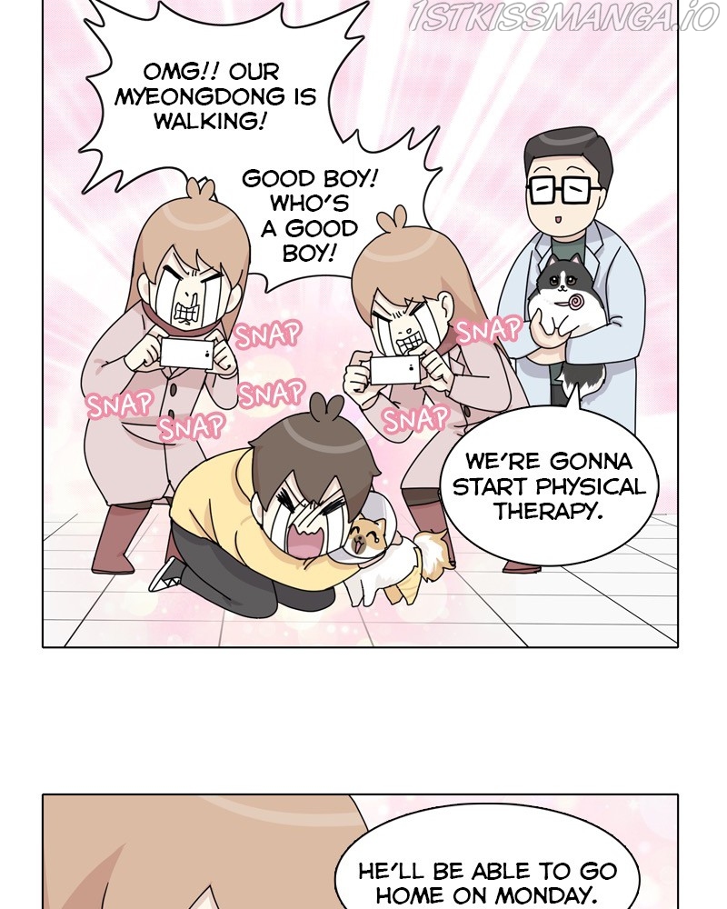 The Dog Diaries Chapter 49 - page 52