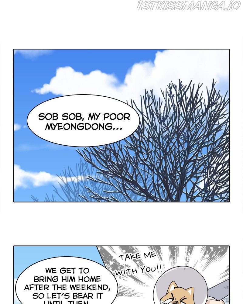 The Dog Diaries Chapter 49 - page 60