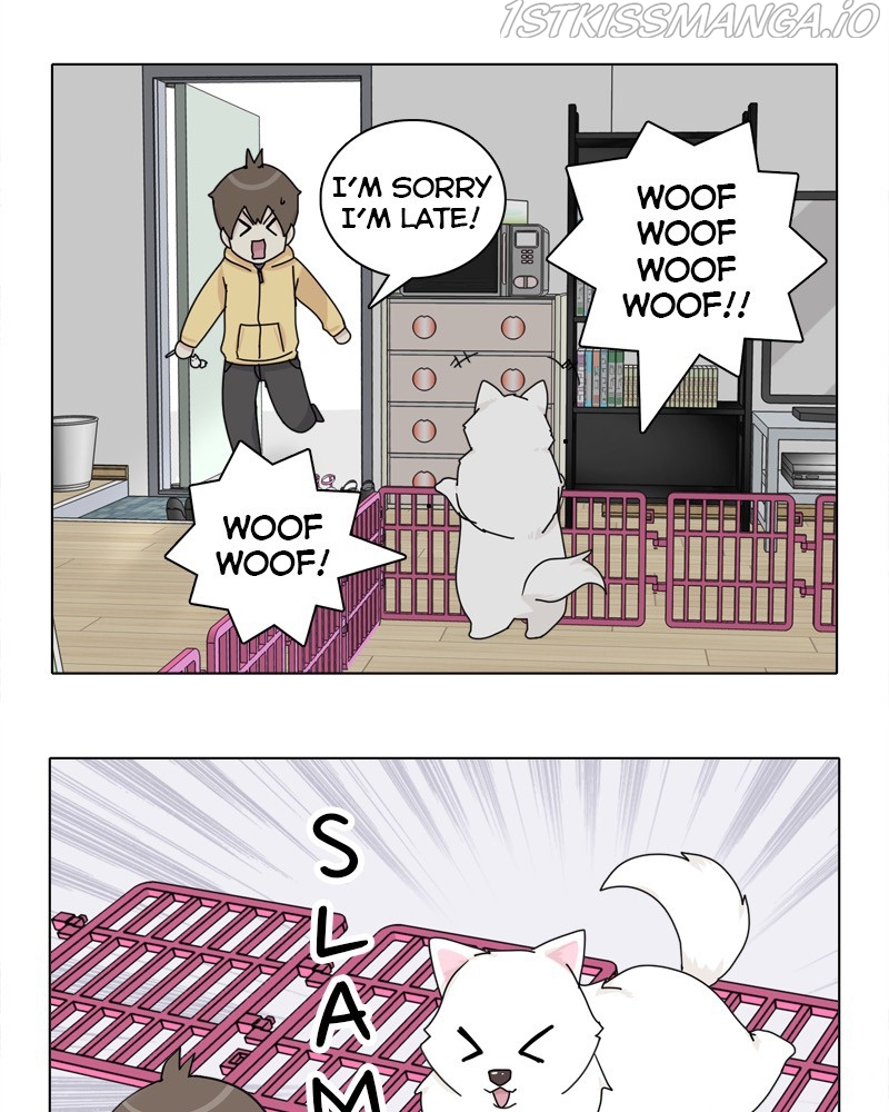 The Dog Diaries Chapter 49 - page 66