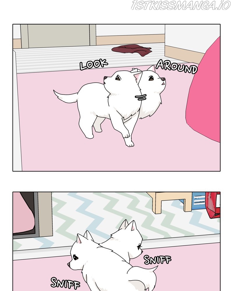 The Dog Diaries Chapter 48 - page 61