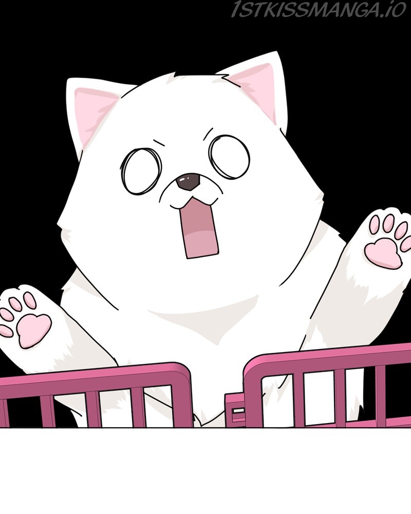 The Dog Diaries Chapter 47 - page 36