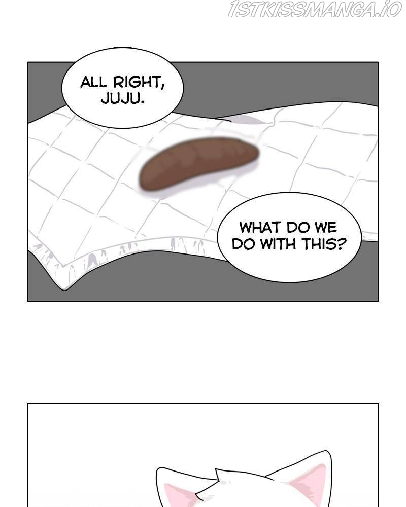 The Dog Diaries Chapter 46 - page 1
