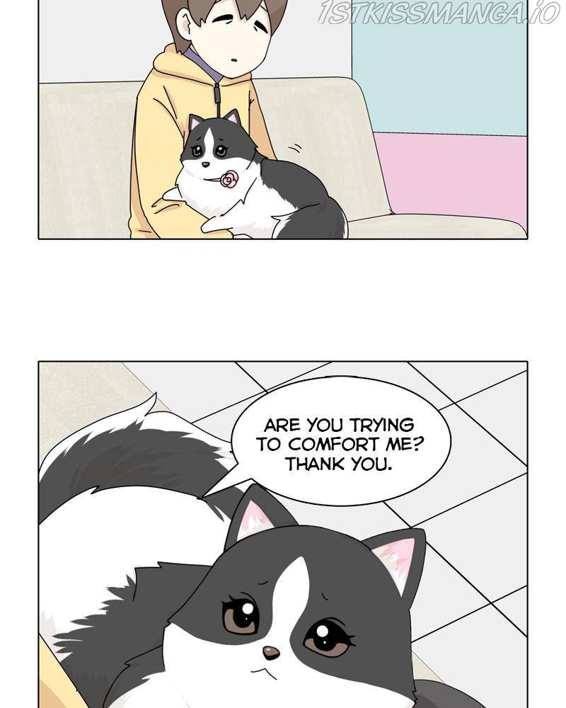 The Dog Diaries Chapter 46 - page 31